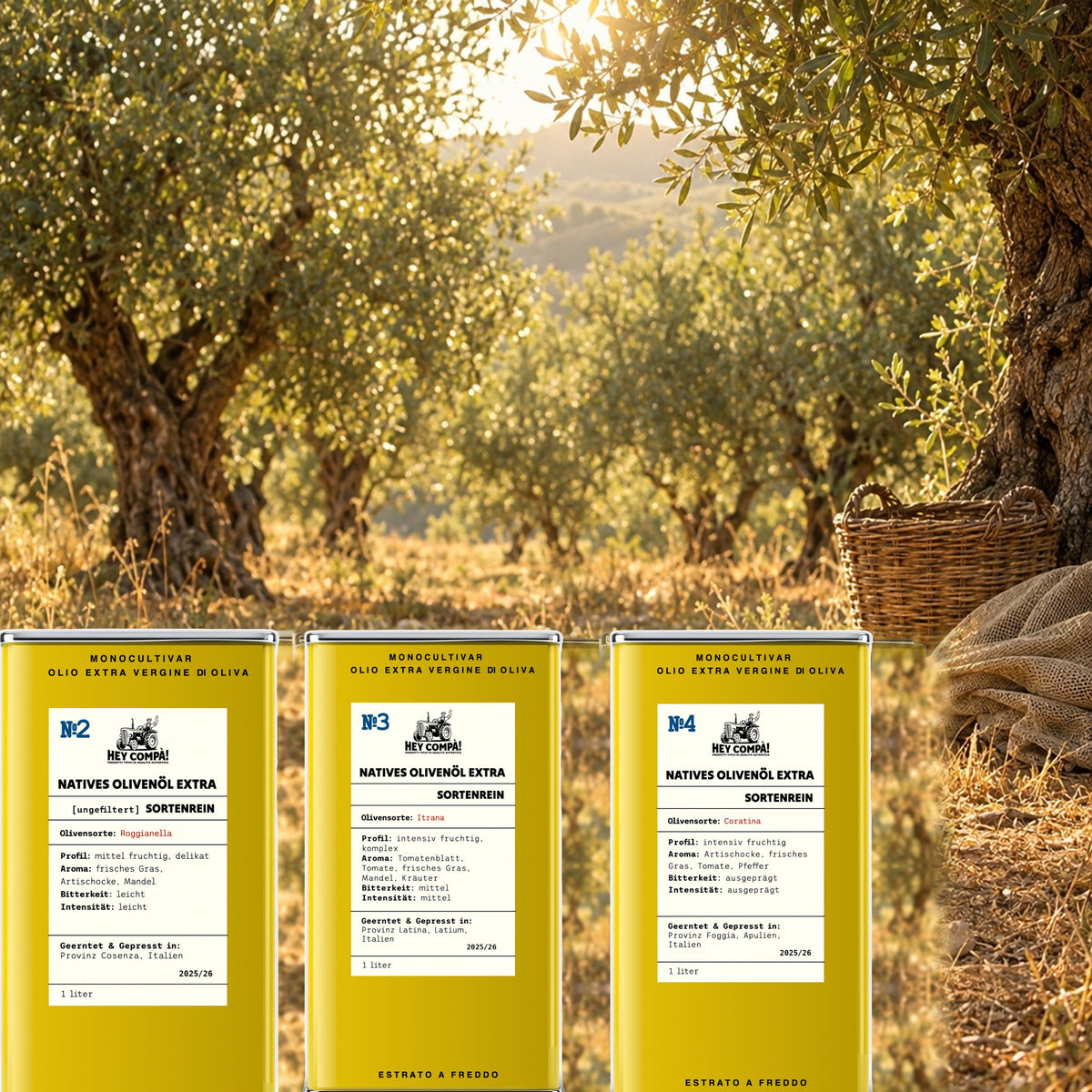 Drei 1-Liter-Dosen sortenreines Olivenoel von Hey Compa in einem italienischen Olivenhain im Abendlicht: No2 Roggianella ungefiltert aus Kalabrien, No3 Itrana aus Latium und No4 Coratina aus Apulien
