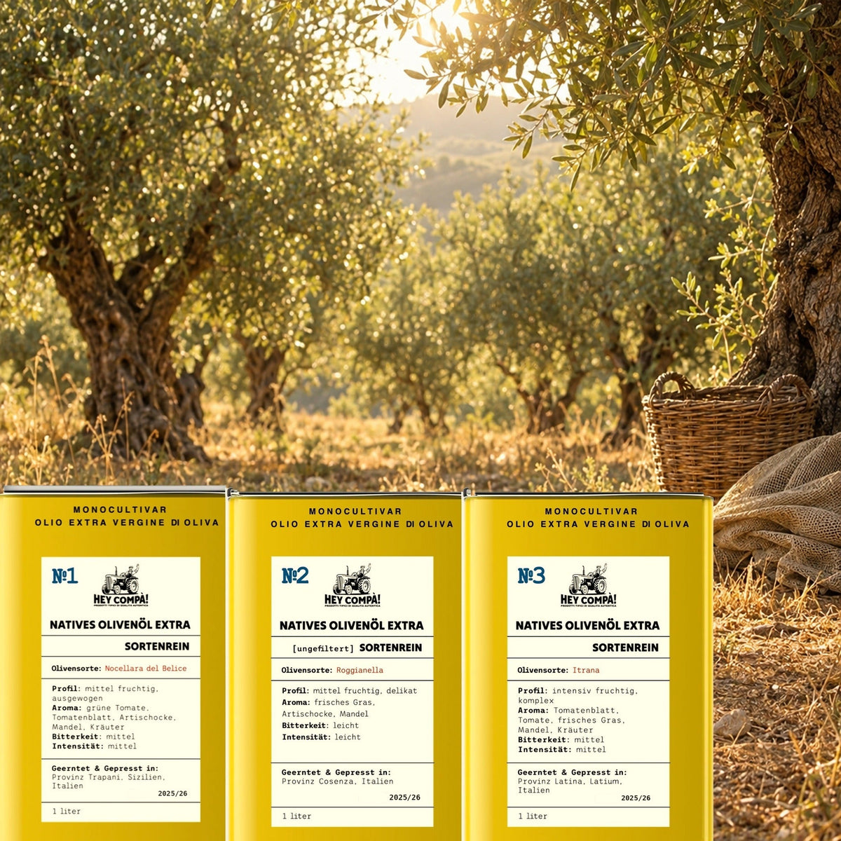 Verkostungsset mit drei Dosen sortenreinem Olivenöl No1 Nocellara del Belice, No2 Roggianella und No3 Itrana, aufgestellt in einem italienischen Olivenhain im Abendlicht